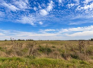 Campo · 15ha · Venta de Campo en Ibarlucea Para Loteo