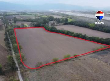 Campo · 8ha · Finca en Venta Rosario de Lerma 7.5 Ha
