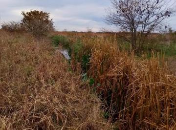 Campo · 34000000m² · Campo en Venta - - m - Arrecifes