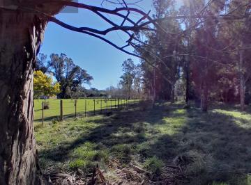 Campo · 8450m² · Terreno 8450 m² - Pardo