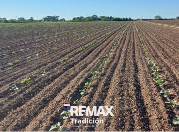 Campo · 100ha · Campo Mixto de 100 Hectáreas en Juan José Castelli