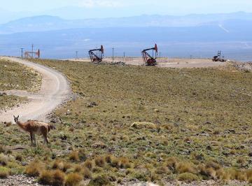 ISC-ISC-72_2 · Campo de 270 Hectáreas en Venta Rincón de Los Sauces