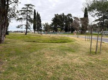 Terreno · 510m² · 1 Ambiente · Terreno Lote en Venta en Santa Sofía, Pilar del Este, Pilar