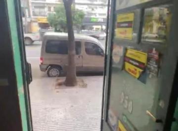 Local comercial · 55m² · 2 Ambientes · Alquiler de Local Comercial en Colegiales