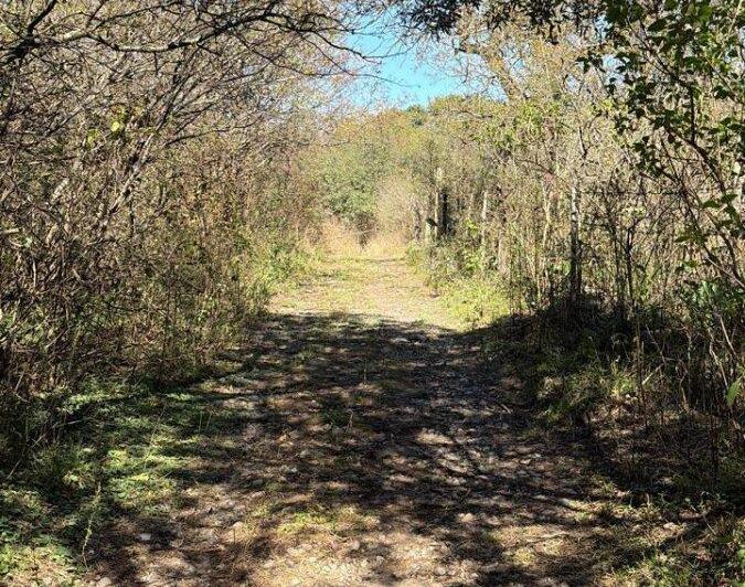 Terreno · 990000m²