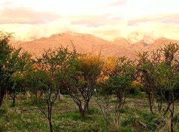 Terreno , Quebrada de los Pozos · Venta Terreno en Traslasierra