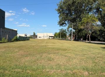 Terreno · 527m² · Terreno en Venta. Las Casuarinas. 527 m²