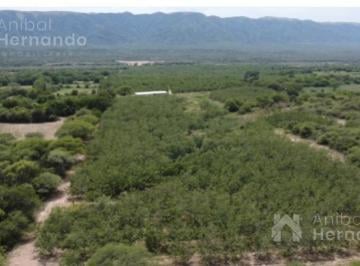 Terreno · 105ha · Terreno Monte Potrero | Paclín | Catamarca