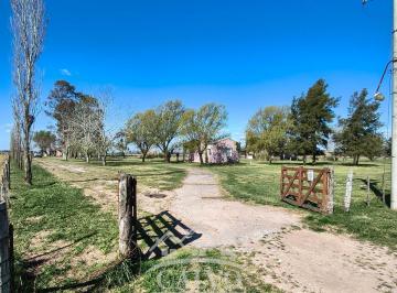 Campo , Mercedes · Chacra de 4 Ha en Venta. Mercedes, Buenos Aires.