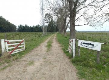 Campo · 203ha · Campo 202 Ha Venta en Rp6 y R215 Abasto La Plata