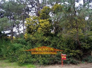 MCN-MCN-554_2 · Venta, Lote de 525 m², Valeria del Mar, Pinamar