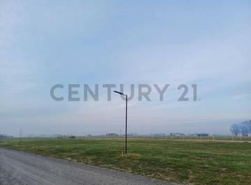 Terreno · 1000m² · Venta de Amplio Lote 1000 m² en Barrio Polo Tres Pinos Villa de Campo General Rodriguez