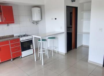 Departamento 25m² Alquiler · Monoambiente C/balcón Apto Profesional