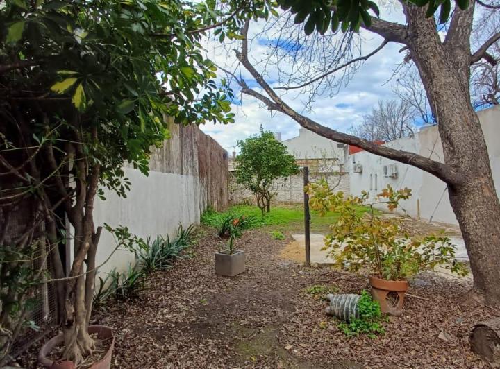 Terreno