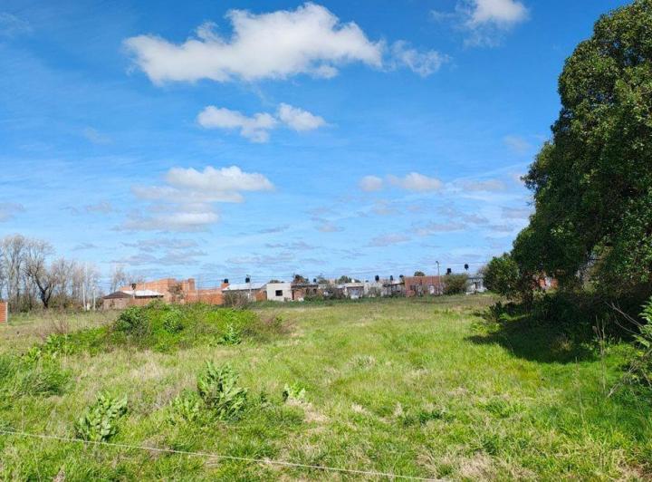 Terreno · 364m²