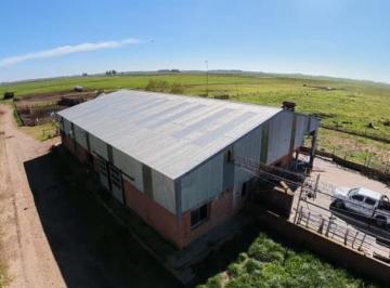 Campo · 300m² · 1 Ambiente · Campo de 488 Hectáreas en Venta – Saladillo