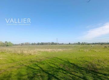 Campo · 8m² · Terreno Campo en Alquiler en Pilar, G. B. a. Zona Norte, Argentina