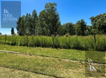 Terreno · 2002m² · Lote - Terreno - Venta - Colonia Las Rosas - Tunuyán - Valle de Uco - Mendoza 2000 m²