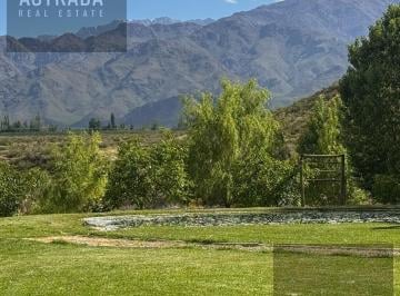 Local comercial · 26100ha · Restaruante - Venta - Zona Manzano Histórico - Tunuyán