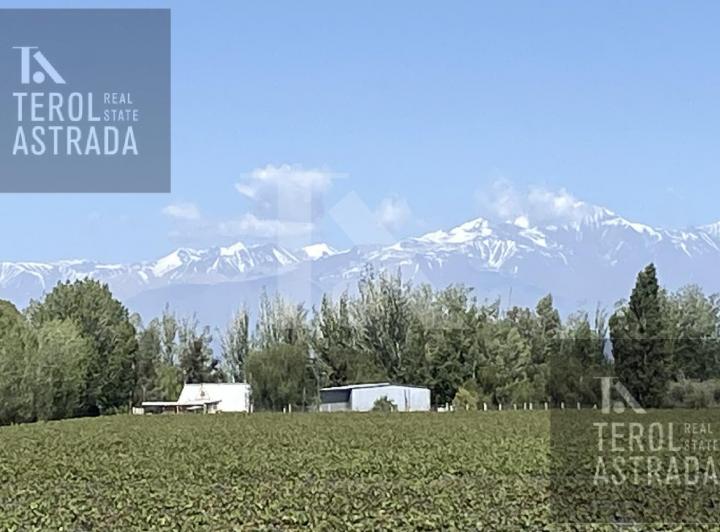 Campo · 19ha