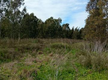 Campo · 5ha · 4.5 Hectarias en Venta en Villa Garibaldi