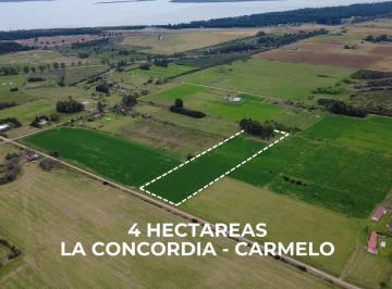 Campo · 40000ha · Venta de Chacra de 4 Hectáreas en Colonia Estrella, Carmelo
