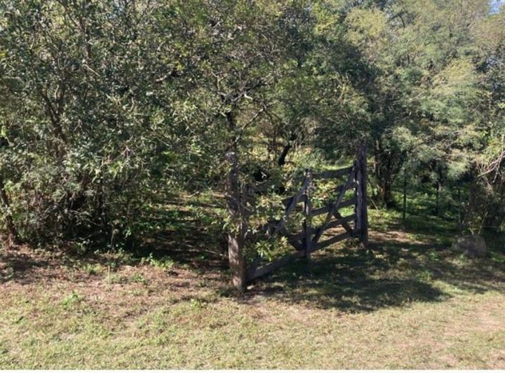 Terreno · 1550m²