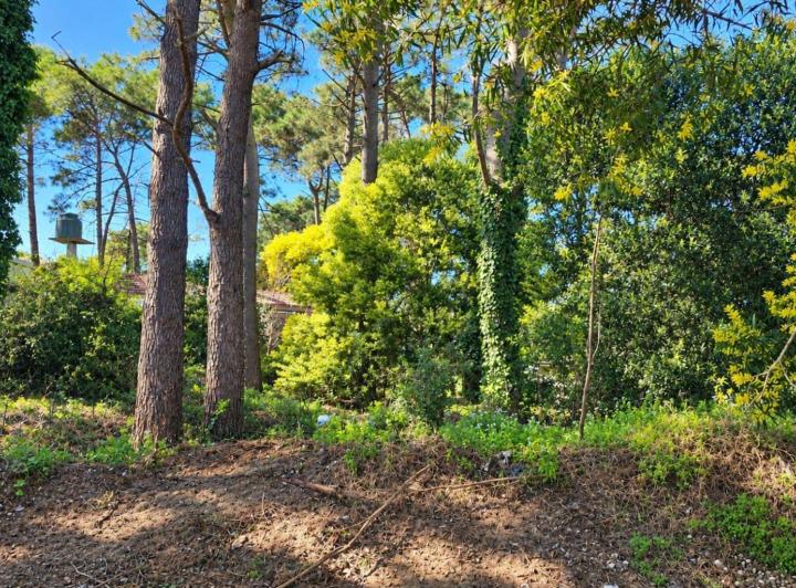 Terreno · 472m²