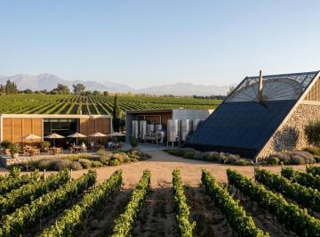 Campo · 2500m² · Venta Finca de 2.500 m² en Anchoris, Sobre Ruta 40 Km 3250, Valle de Uco, Mendoza
