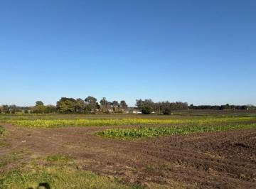 Campo · 111ha · ¡Oportunidad de Inversion! Excelente Campo de 8 Ha en Batan, con Riego