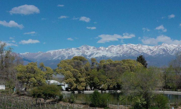 Campo · 100ha