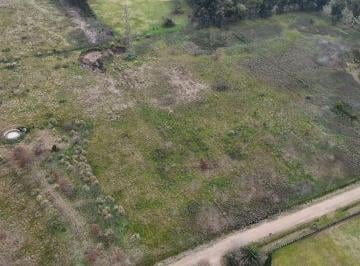 Terreno · 18500m² · Campo/terreno de 18.500 m² - 502e/202 y 208 (Abasto)