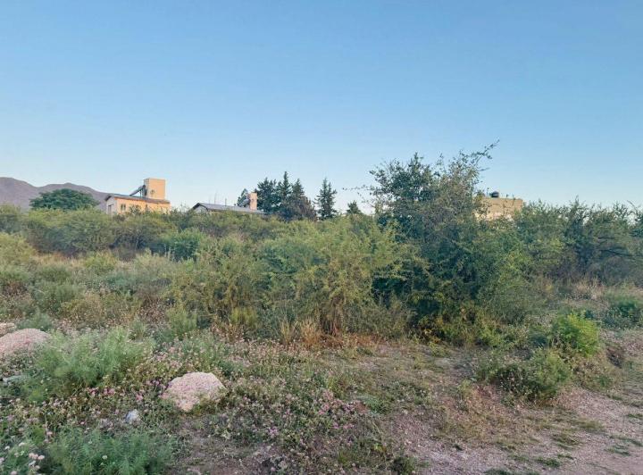Terreno · 584m²