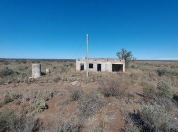 Campo · 12ha · Venta Finca Santa Rosa Mendoza