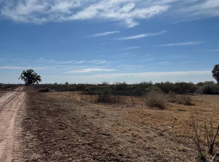 Campo · 453m²