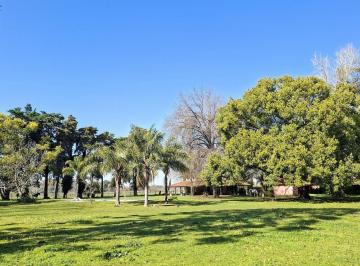 Quinta vacacional · 90m² · 2 Ambientes · Lindísima Quinta de 10.000 m² en Alquiler en Parada Robles por 1 Año