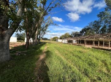 Terreno · 60m² · Venta Terreno con Casa 3 Ambientes de 25789 m² - Mercedes, Buenos Aires