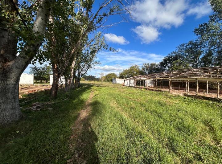 Terreno · 60m²