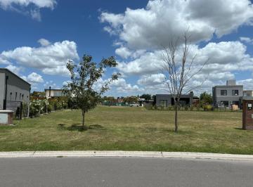 Terreno · 600m² · Venta Lote Central - Barrio Santa Emilia Pilar del Este