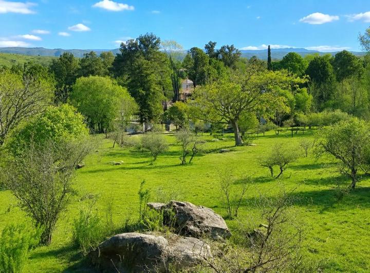 Terreno · 2000m²