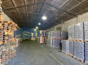 Bodega-Galpón · 300m² · Excelente Galpon 300 m² Planta Libre en Predio con Vigilancia y Playa de Maniobra