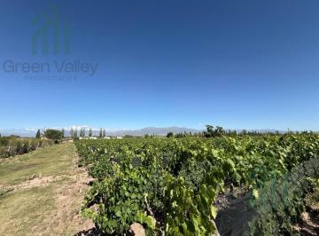 Campo · 45000m² · Finca en Perdriel con Dos Fracciones en Venta