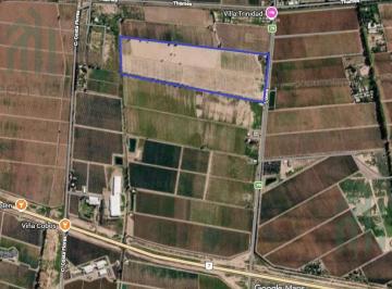 Campo · 20ha · Finca de 20 Ha en Venta en Calle Cobos Agrelo Lujan de Cuyo Mendoza