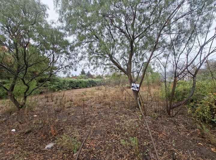 Terreno · 1238m² · 1 Ambiente
