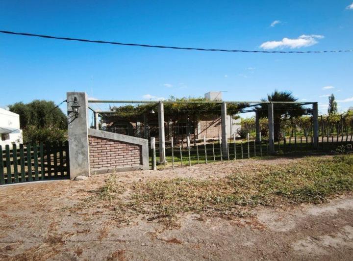 Campo · 400ha