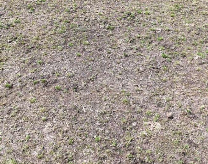 Campo · 68m²