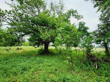 Terreno , Saladillo · Terreno / Lote en Venta de 2719 m² Ubicado en Cazón