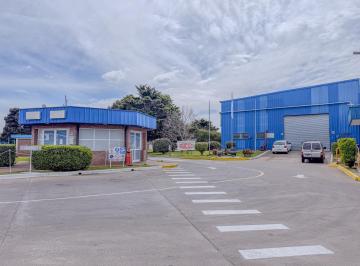 Depósito · 6000m² · 1 Ambiente · Alquiler - Depósito - Berazategui - 6000 m² Parque Logistico Industrial Ducilo