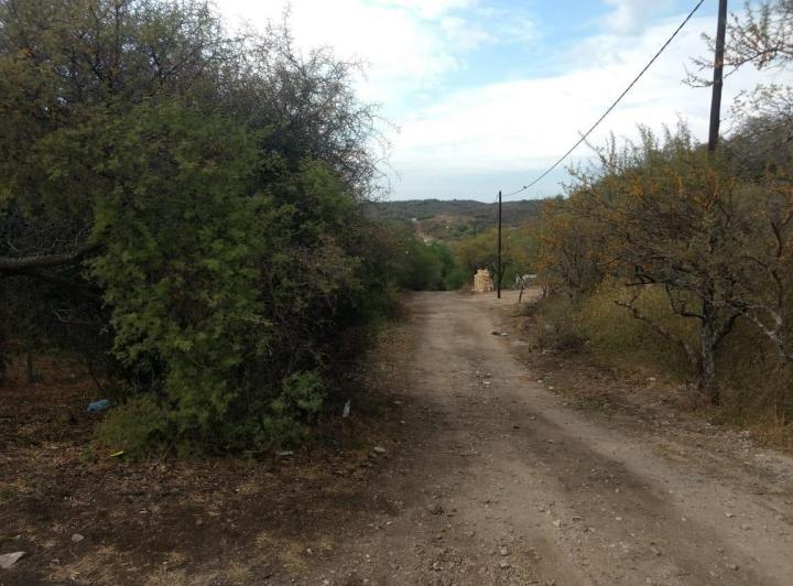 Campo · 2ha