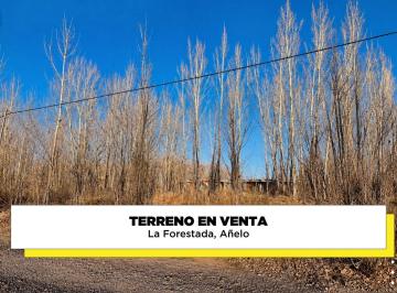 Terreno · 540m² · Terreno en Venta La Forestada, Añelo